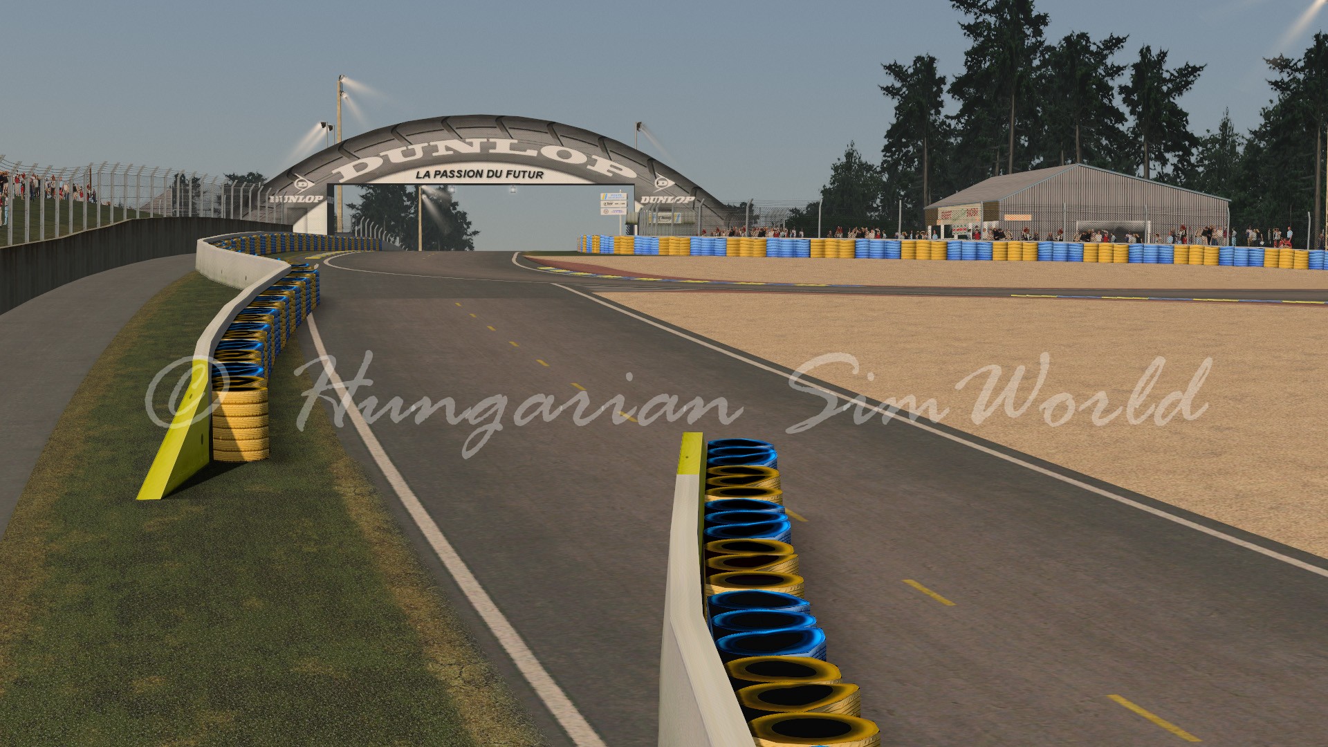 lemans9196_wip_02