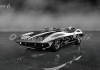 Chevrolet_Corvette_StingRay_Racer_Concept_59_73Front