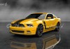 Ford_Mustang_Boss_302_13_73Front
