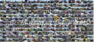 painted-truck-traffic-by-jazzycat-v1-3-1_1
