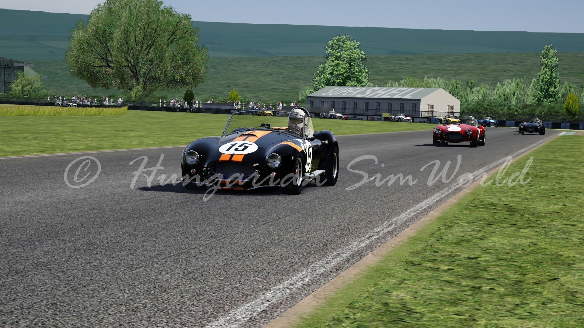 Screenshot_shelby_cobra_sc_goodwood_7-8-2014-19-36-35