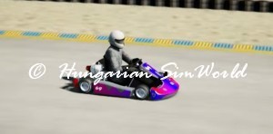 gokart