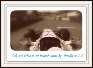 (oh so) REAL onboard cams by shnala