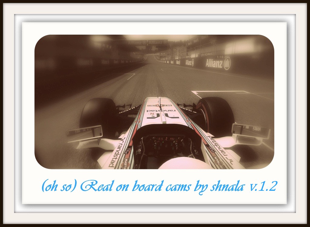 (oh so) REAL onboard cams by shnala