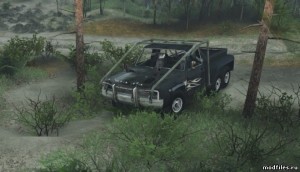 53805520