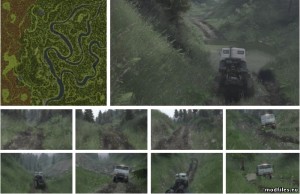 38550874