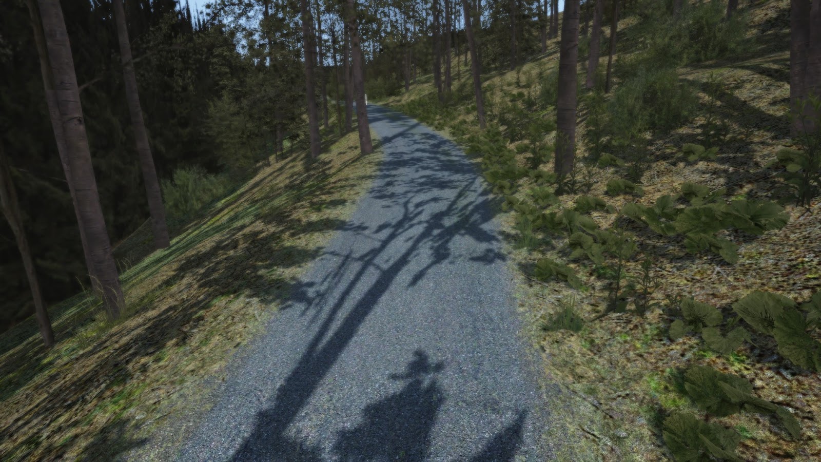 Screenshot_ds3_wrc_2015_simtraxx_semetin_0.8_16-2-116-21-10-46