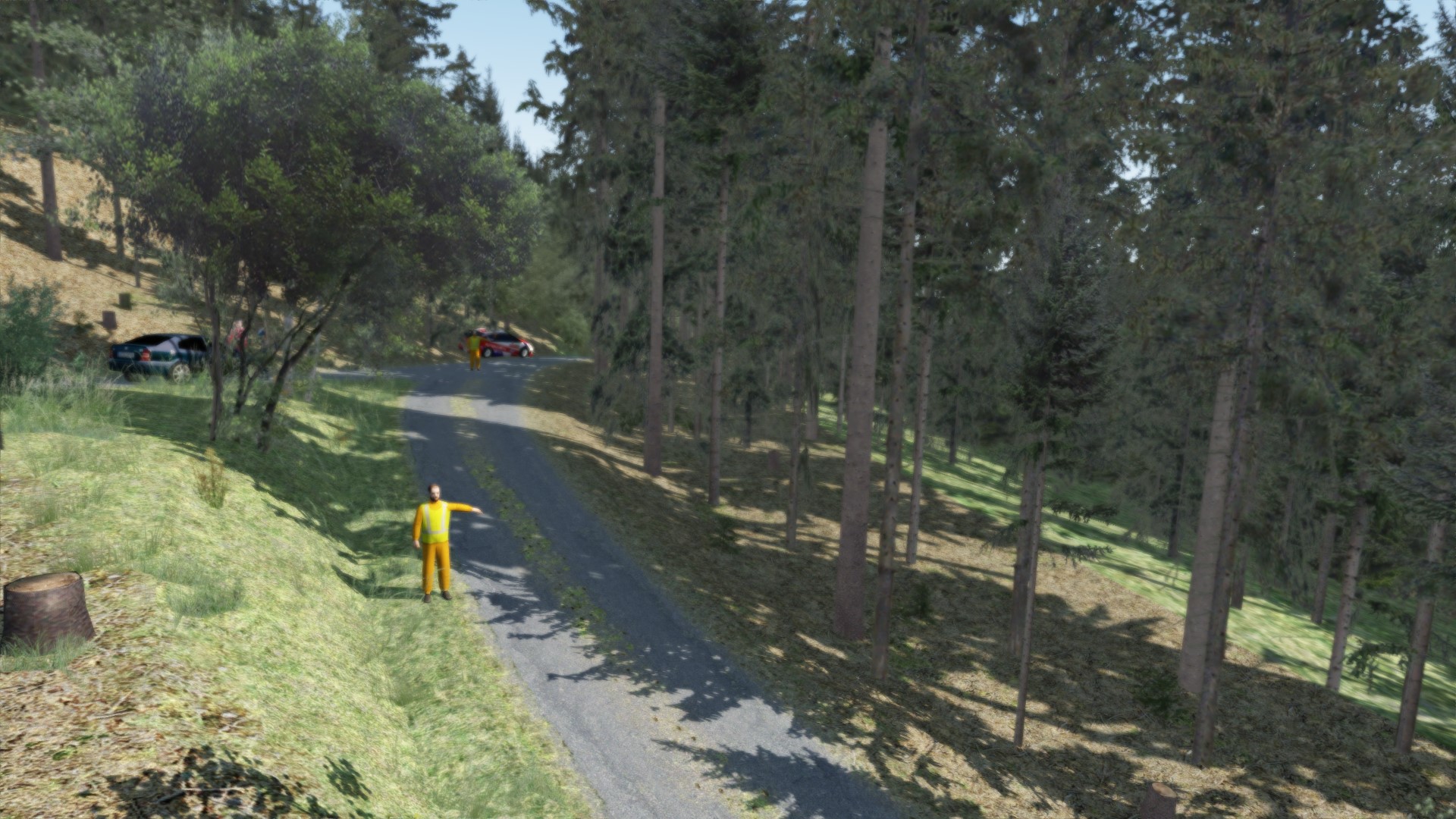 Screenshot_rl_ford_fiesta_wrc_simtraxx_semetin_0.9_17-6-116-16-47-59