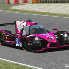 rF2 Endurance Series mod képek